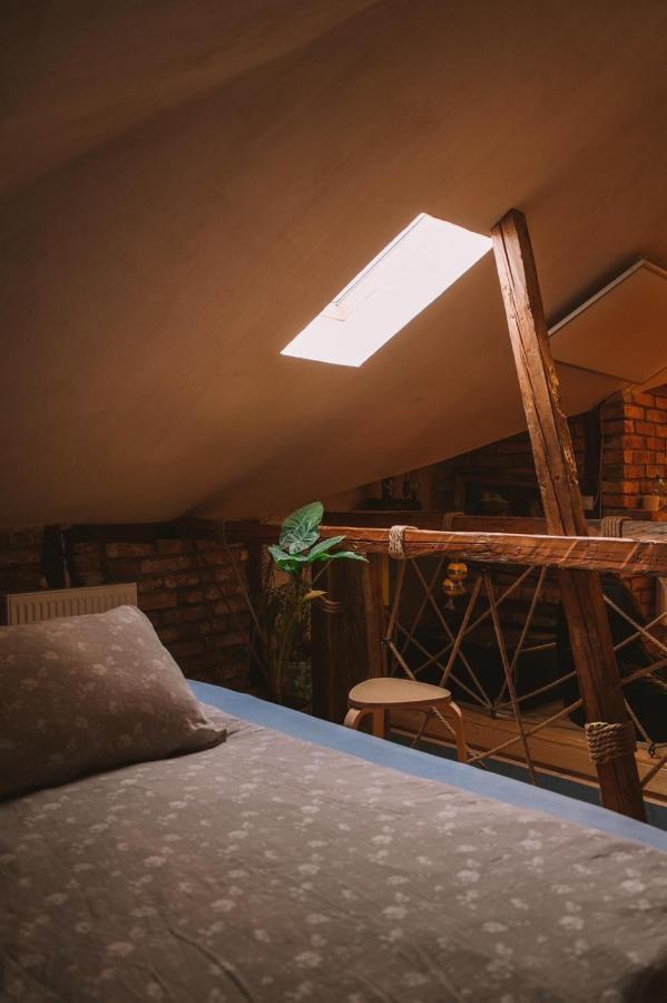 Apartamente A La Cluj ภายนอก รูปภาพ